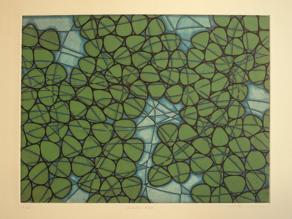 Lentilles d’eau 30x40cm 2019