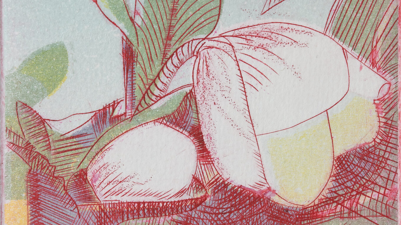 Roses d’hiver, gravure de Vincent Gourgeon